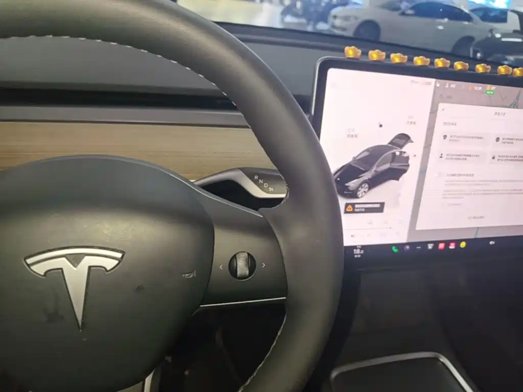Tesla Model Y — миниатюра 14
