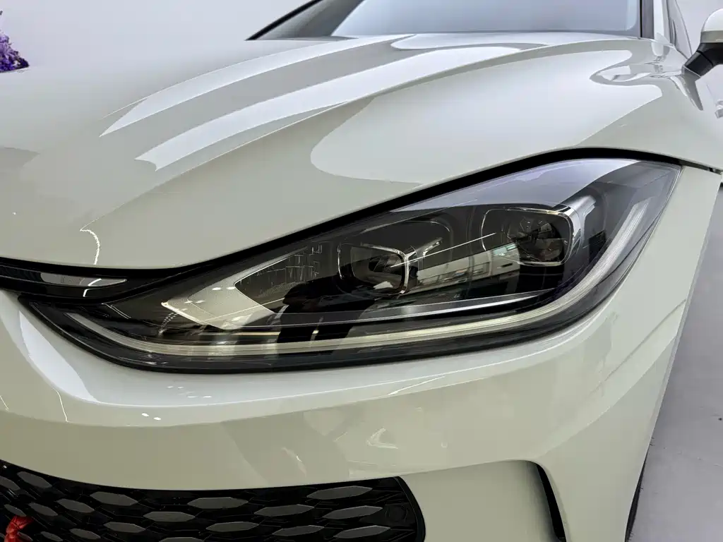 Volkswagen Lamando — миниатюра 5