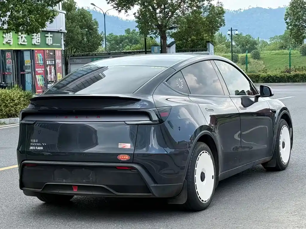 Tesla Model Y — миниатюра 3