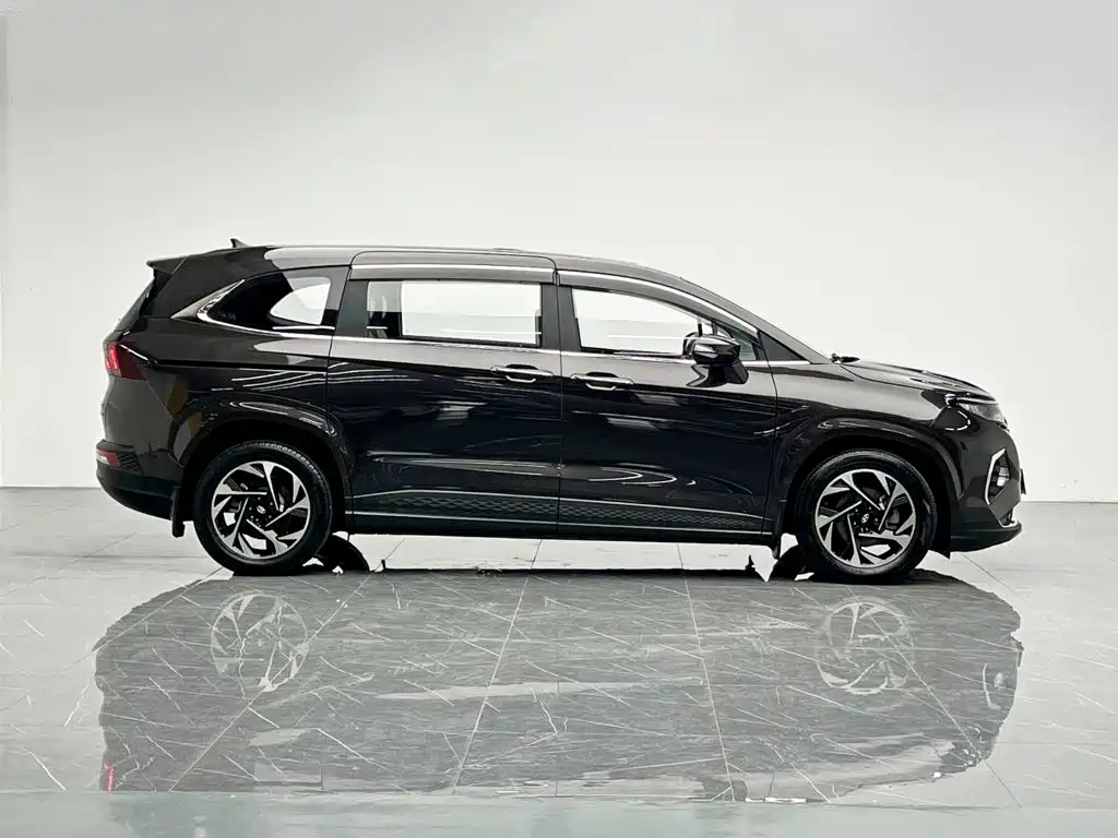 Hyundai Custo — миниатюра 7