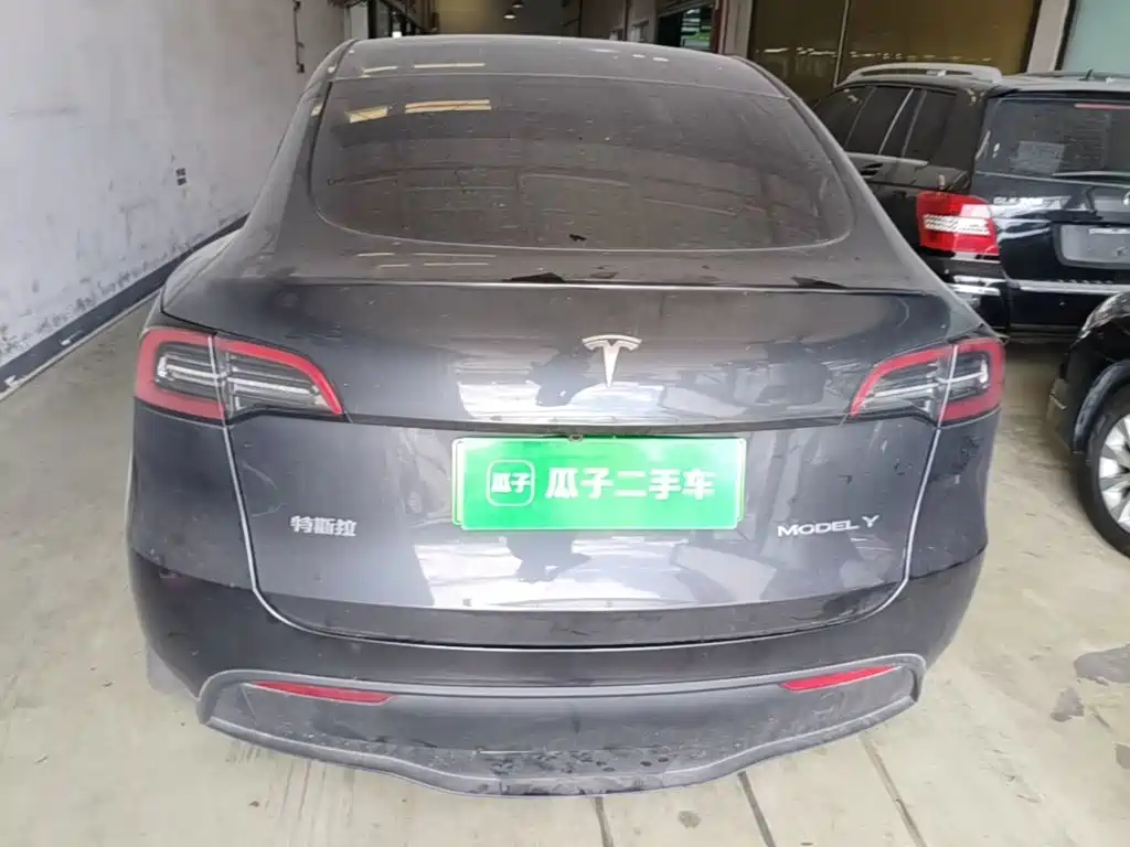 Tesla Model Y — миниатюра 6