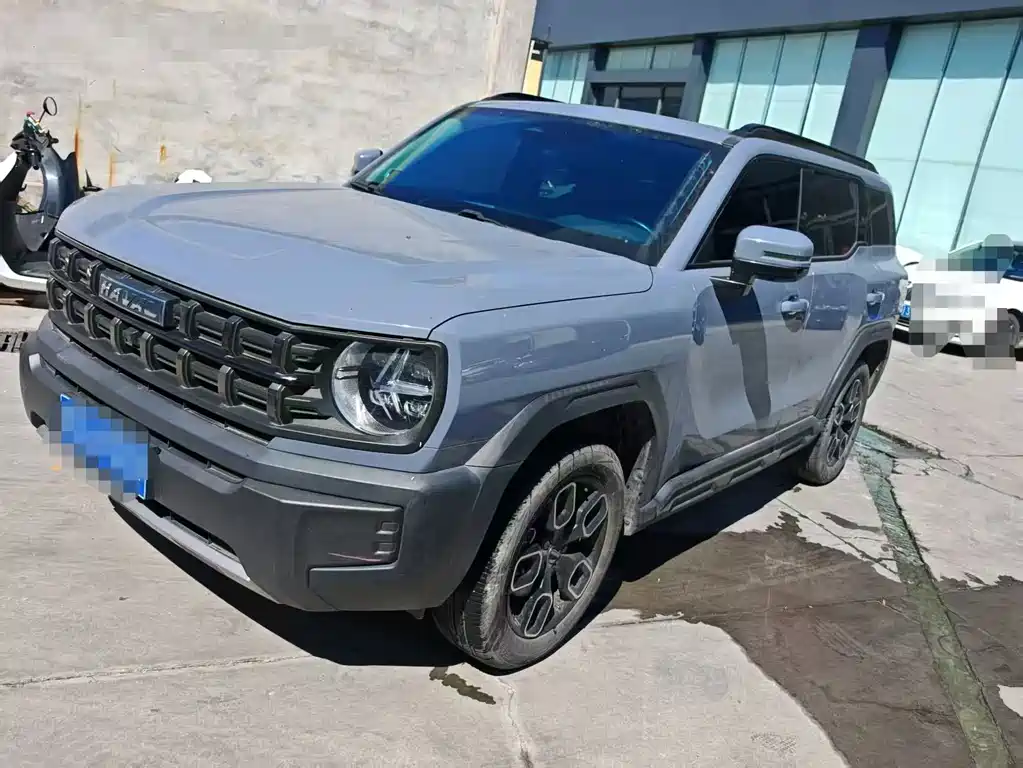 Haval Cool Dog — миниатюра 6