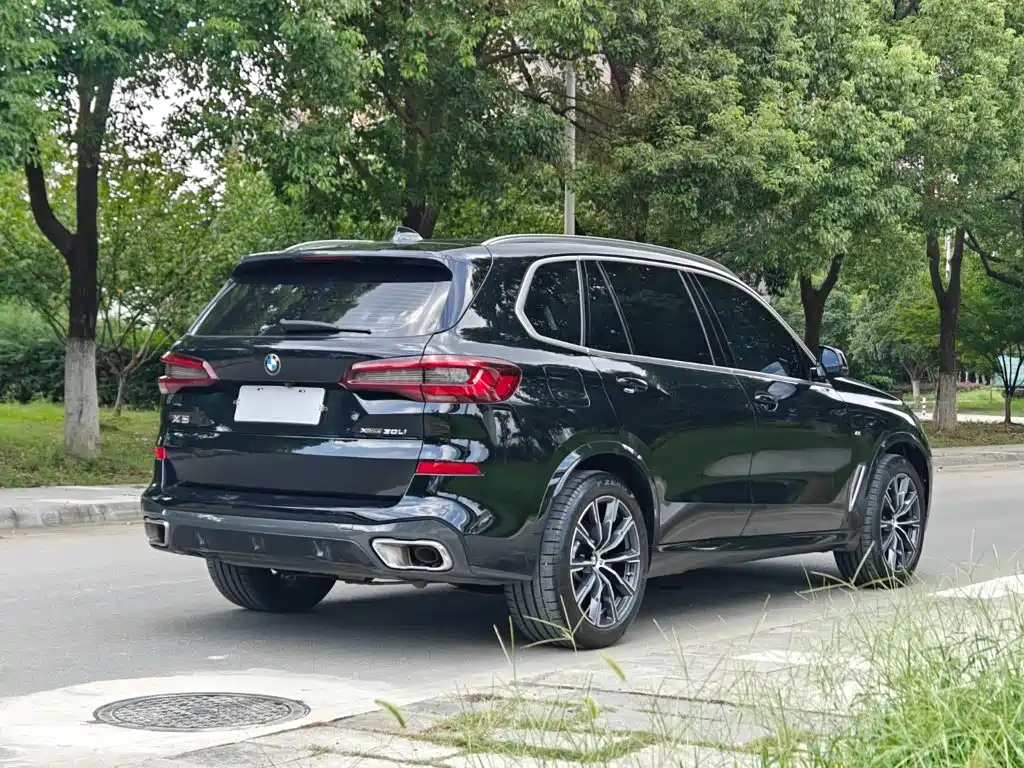 BMW X5 — миниатюра 7