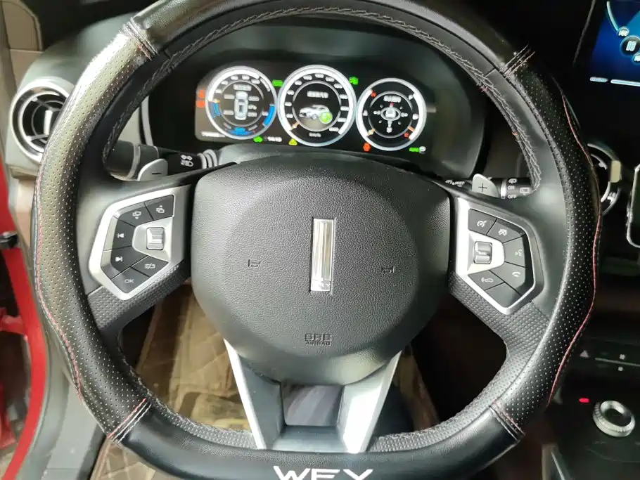 Wey Wey P8 — миниатюра 15