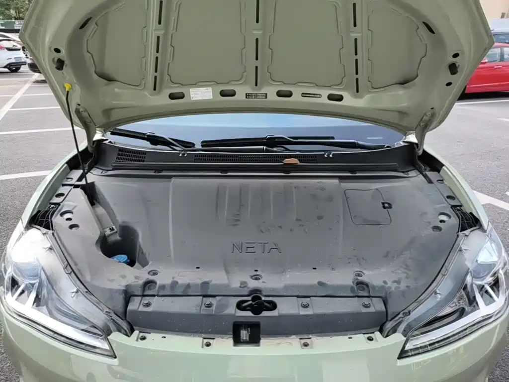 Neta Neta V — миниатюра 20