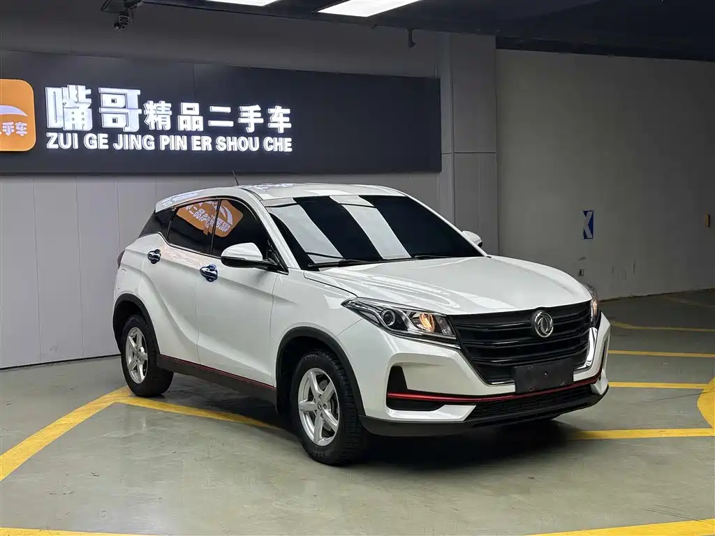 DONGFENG SCENERY 500
