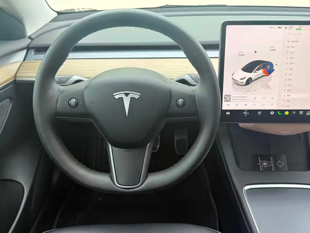 Tesla Model 3 — миниатюра 13