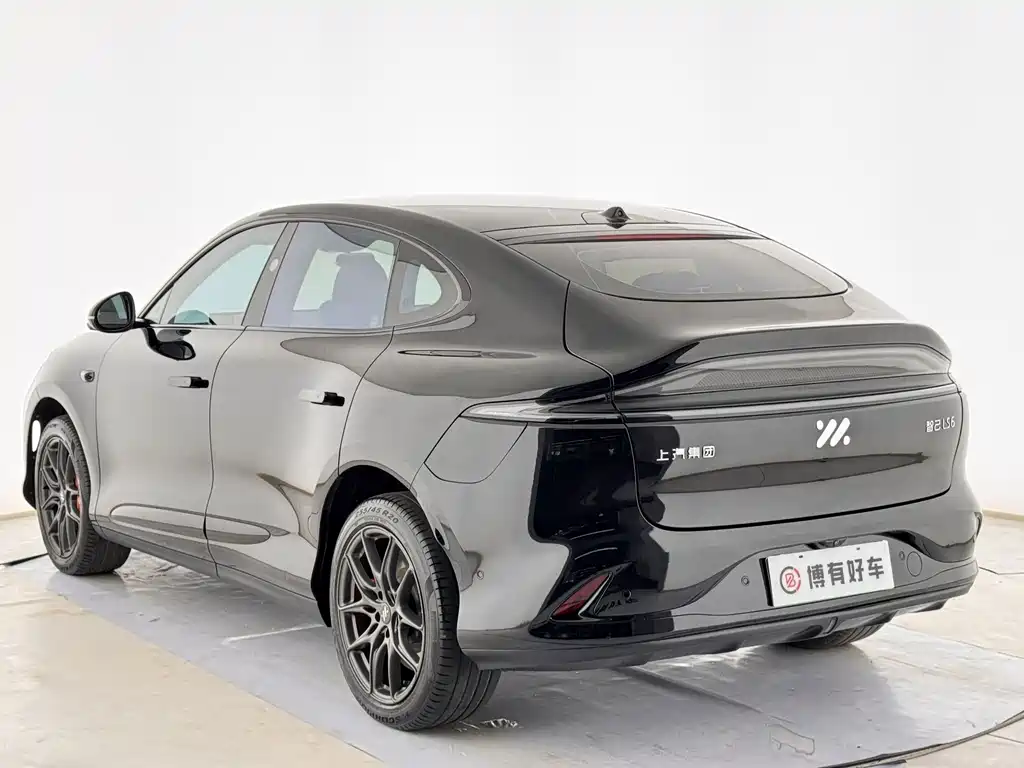 IM IM LS6 — миниатюра 12