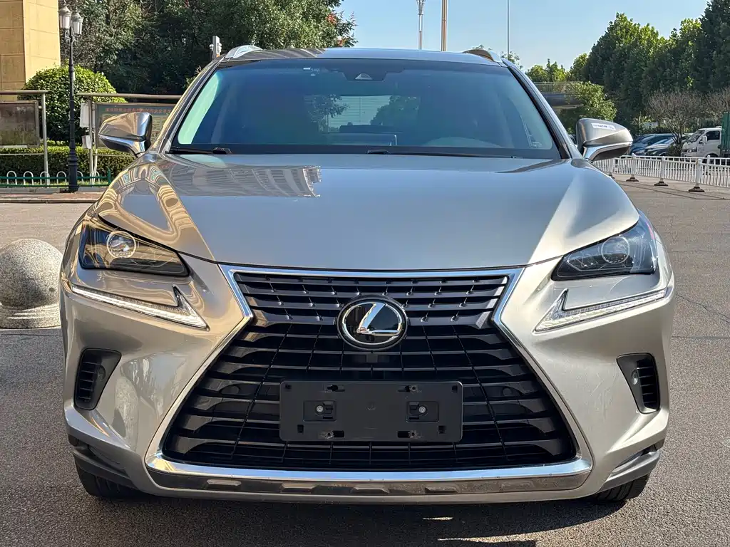 Lexus NX — миниатюра 3