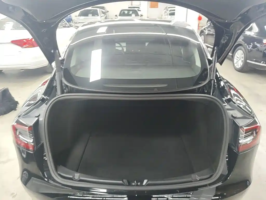 Tesla Model 3 — миниатюра 19