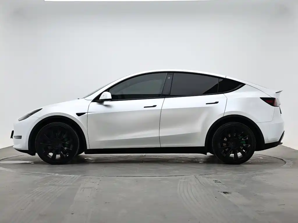 Tesla Model Y — миниатюра 6