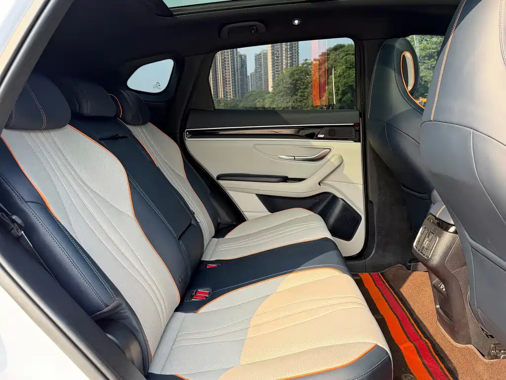 BYD PLUS New Energy — миниатюра 16