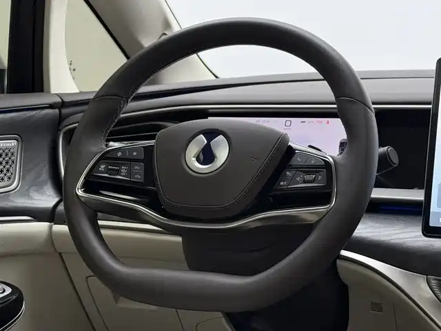 Denza Denza D9 — миниатюра 11