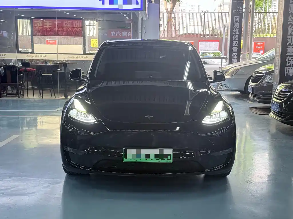 Tesla Model Y — миниатюра 2