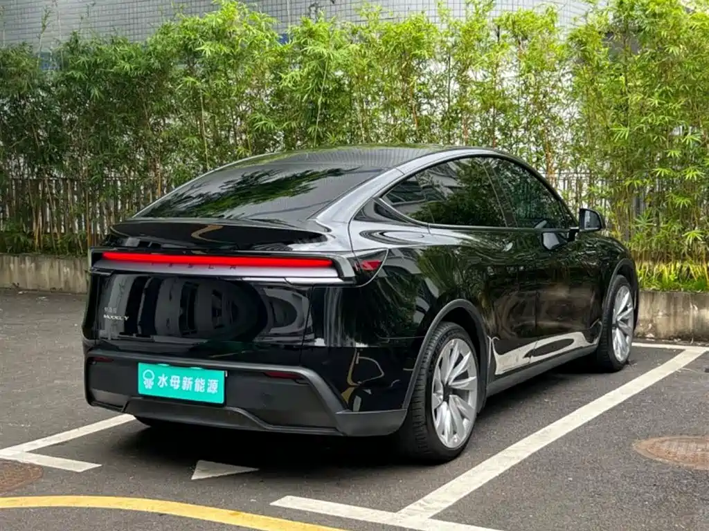 Tesla Model Y — миниатюра 14