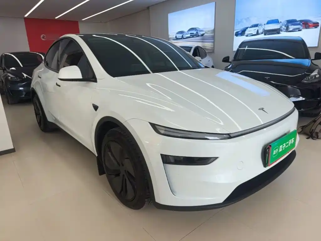 Tesla Model Y — миниатюра 4