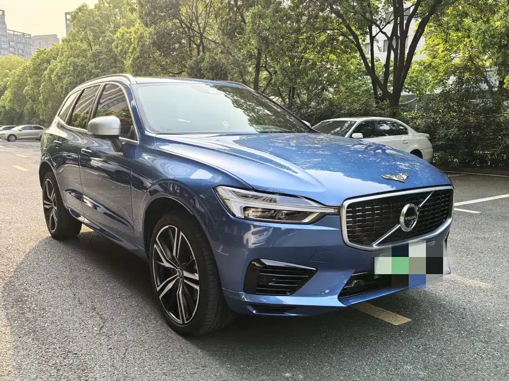 Volvo XC60 2019 T8 E Luxury VI