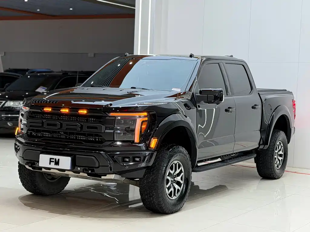 Ford F-150 Raptor — миниатюра 4