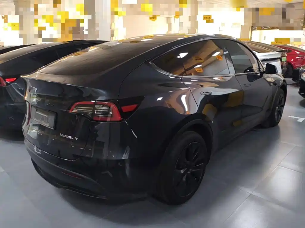 Tesla Model Y — миниатюра 7