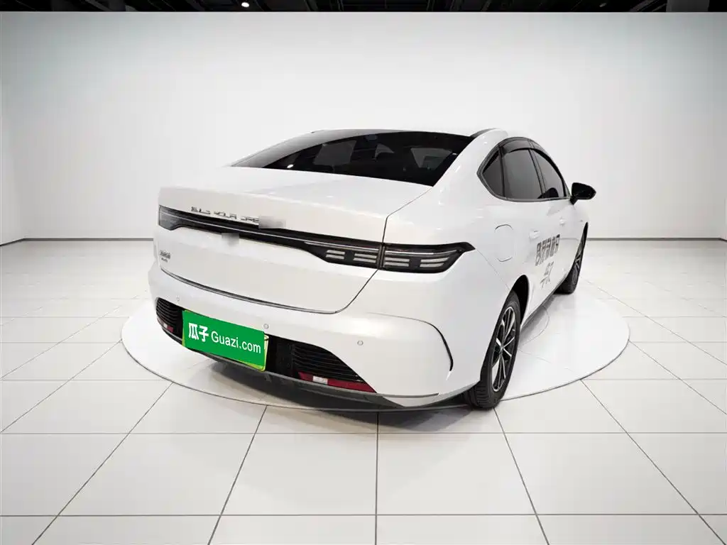 BYD Destroyer 05 2024 DM-i 55KM Luxury