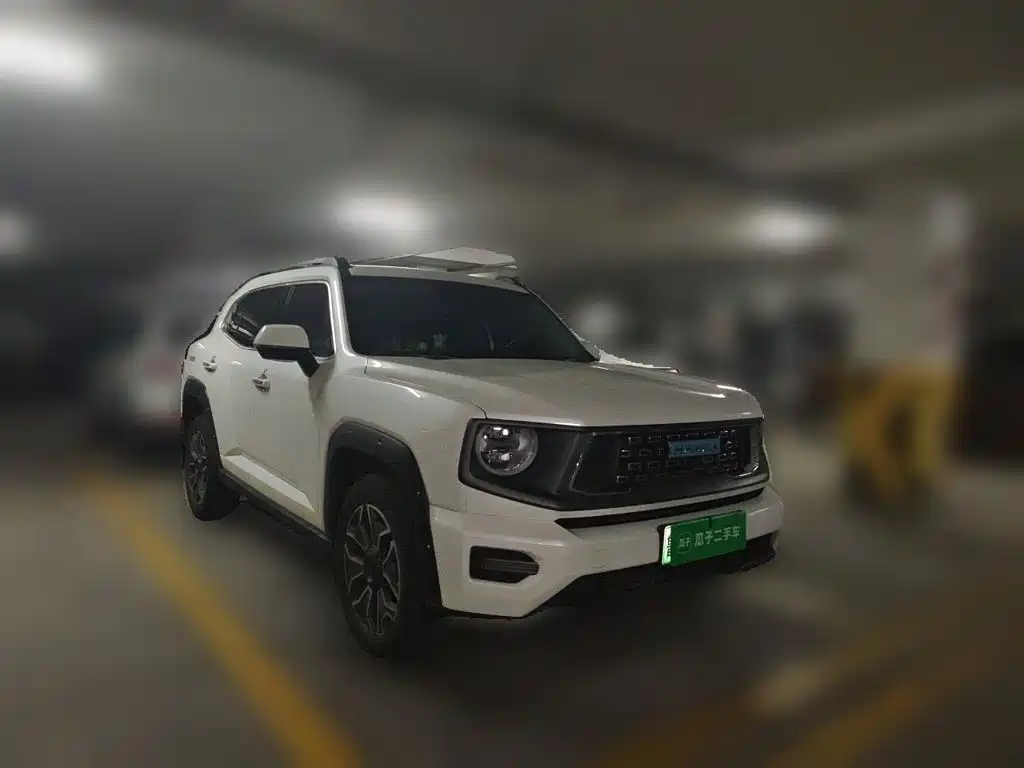 Haval Big Dog PLUS New Energy — миниатюра 3