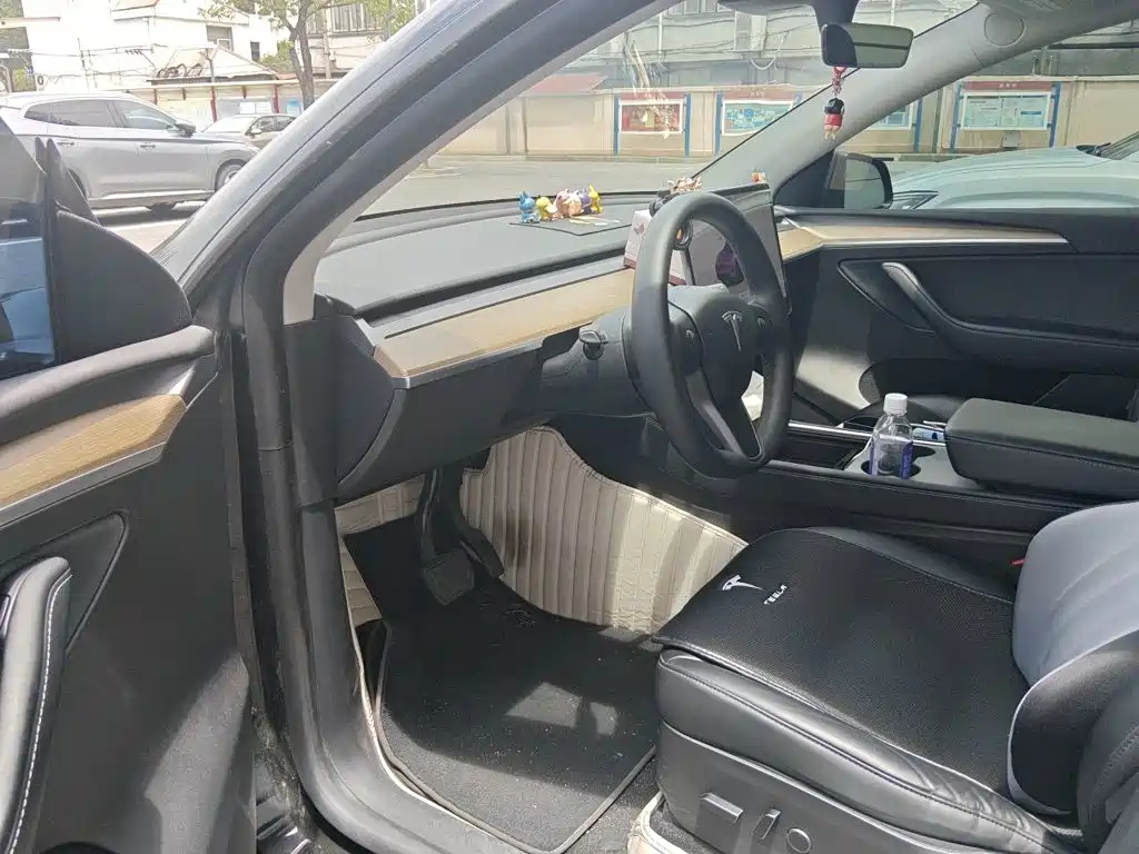 Tesla Model Y — миниатюра 14