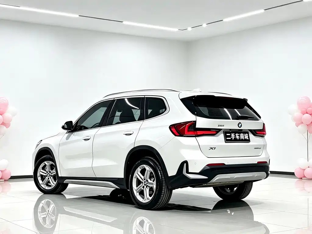 BMW X1 — миниатюра 9