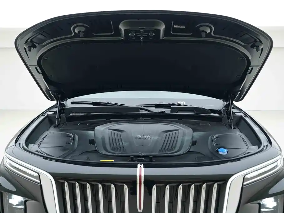 Hongqi Hongqi E-HS9 — миниатюра 7