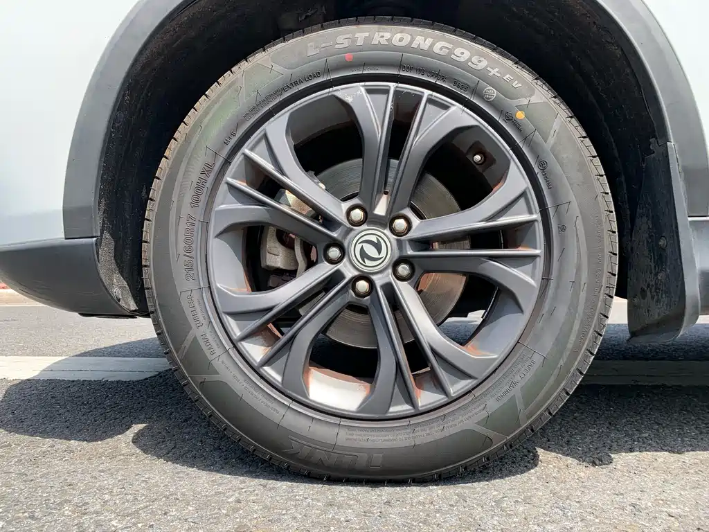 DONGFENG SCENERY 500