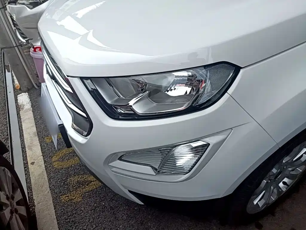 Ford Ecosport — миниатюра 24