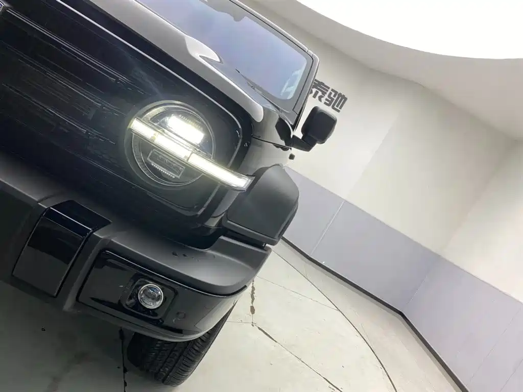 TANK TANK 300 NEW ENERGY