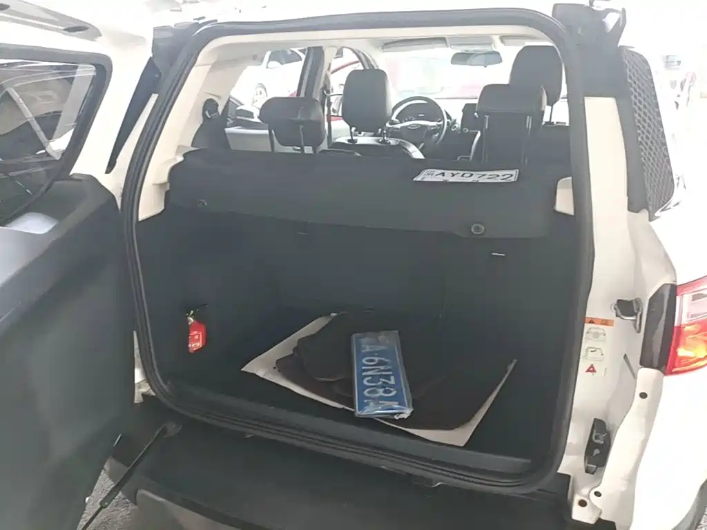 Ford Ecosport — миниатюра 19