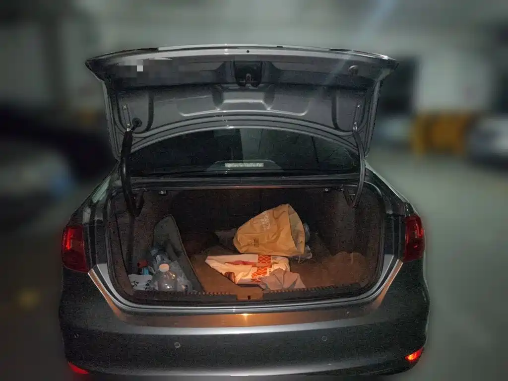 Volkswagen Sagitar — миниатюра 15