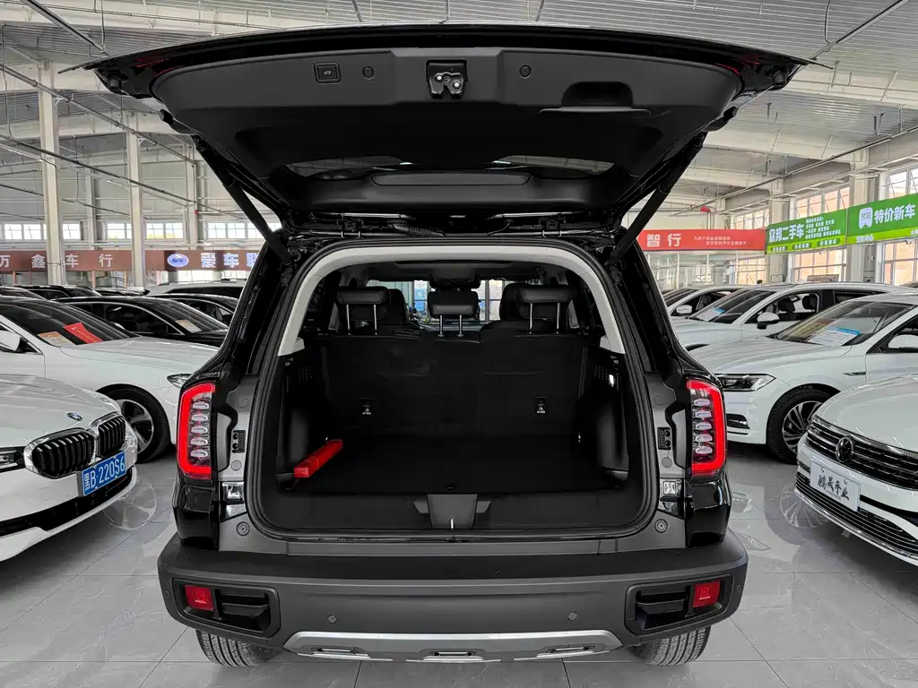 Haval Big Dog — миниатюра 19
