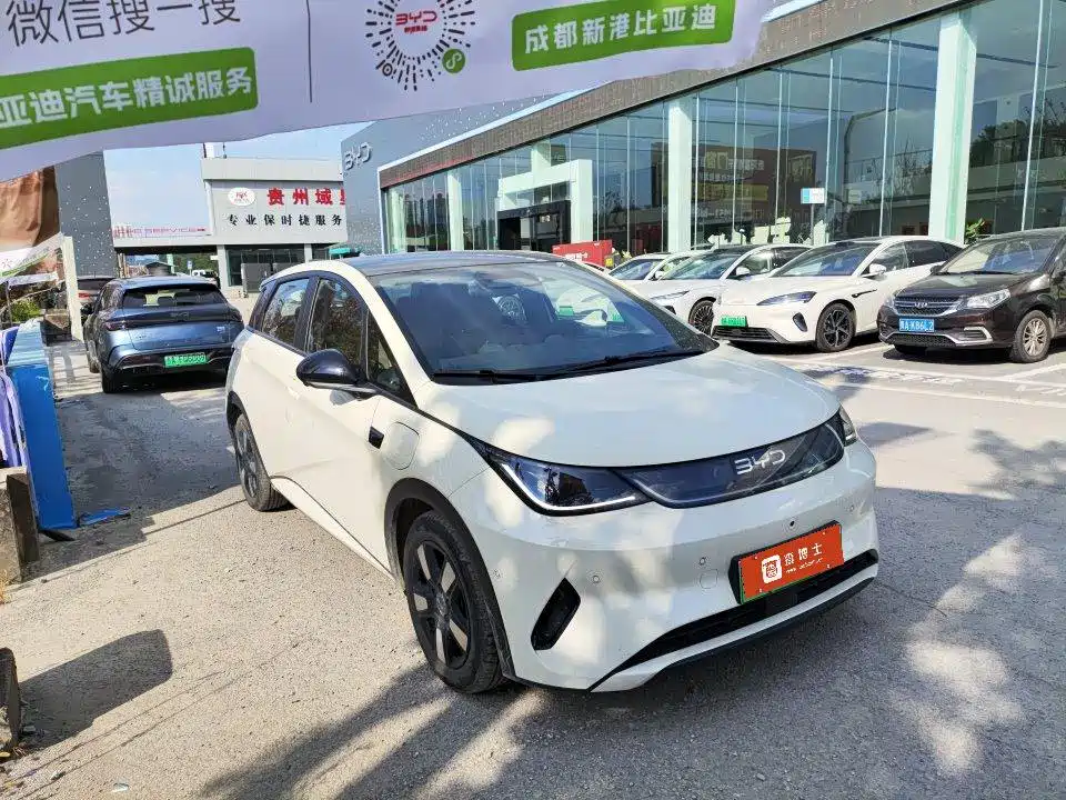 BYD Dolphin — миниатюра 2