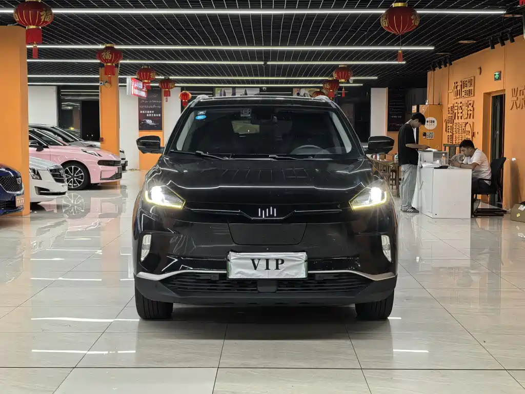 Weltmeister WEIMA EX5