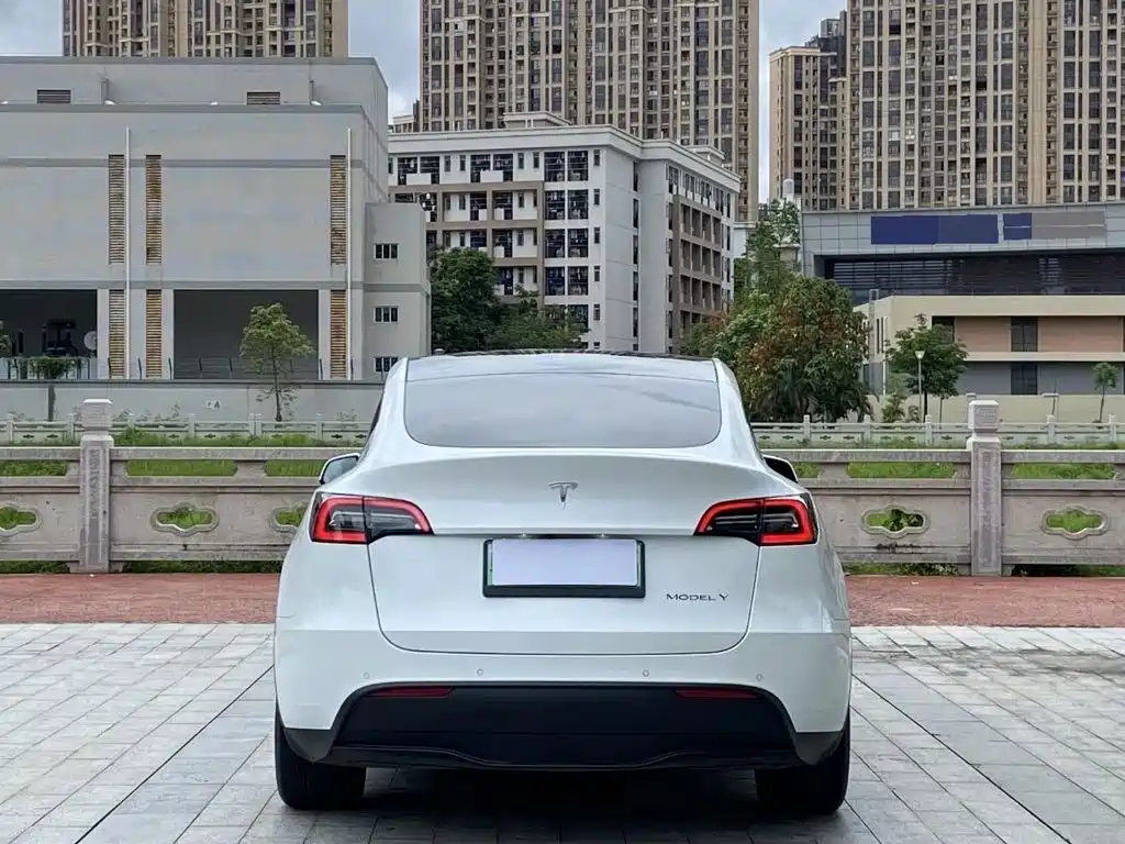 Tesla Model Y — миниатюра 8