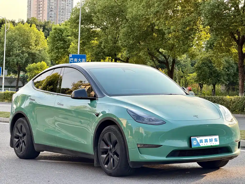 Tesla Model Y — миниатюра 3