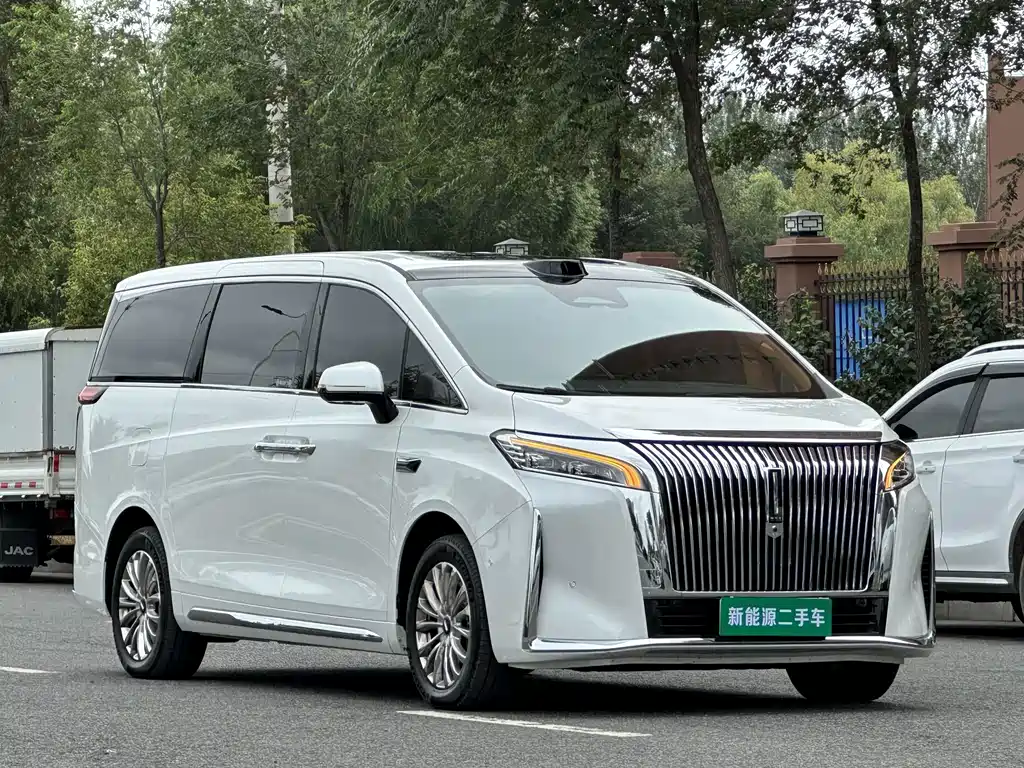 Wey Gaoshan New Energy 4WD High Mountain 8, фото 10