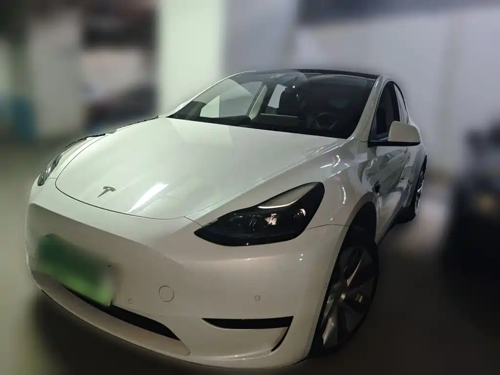Tesla Model Y — миниатюра 2