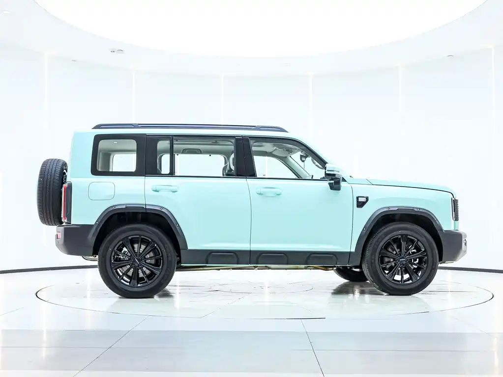 HAVAL RAPTORS NEW ENERGY