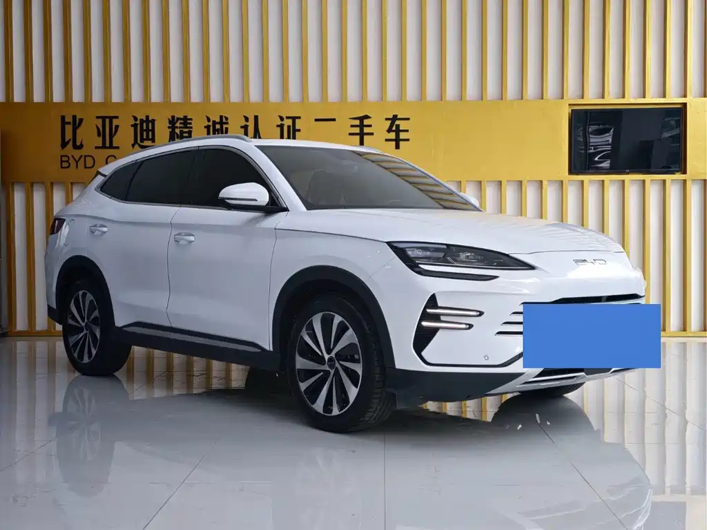BYD PLUS New Energy — миниатюра 3