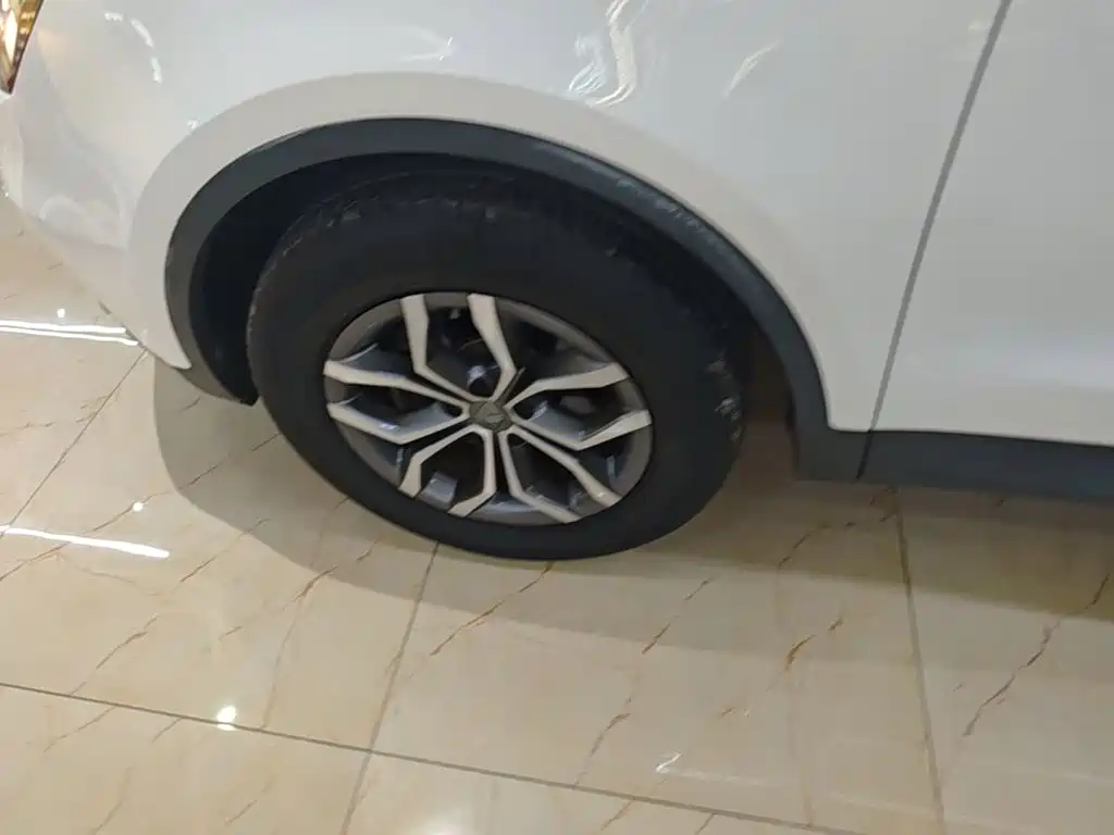 Borgward BX5 — миниатюра 23