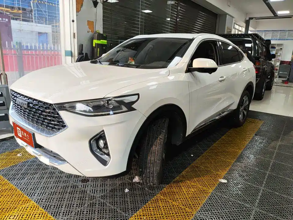 2019 Haval F7x - zdjęcie 1 z 10