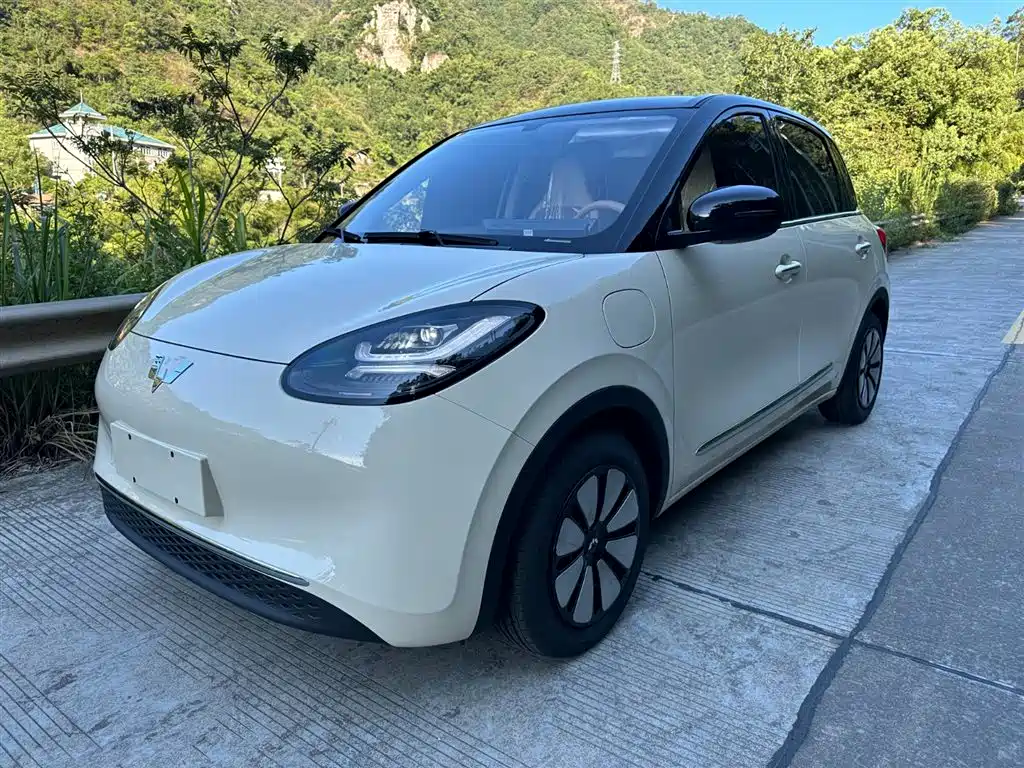 Wuling Binguo