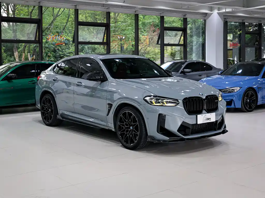 BMW X4 M X4 M Thunder Edition, фото 3