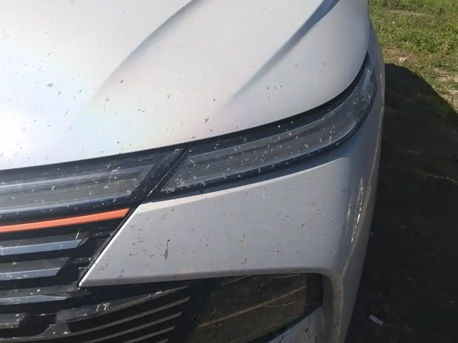 Haval Shenshou — миниатюра 5
