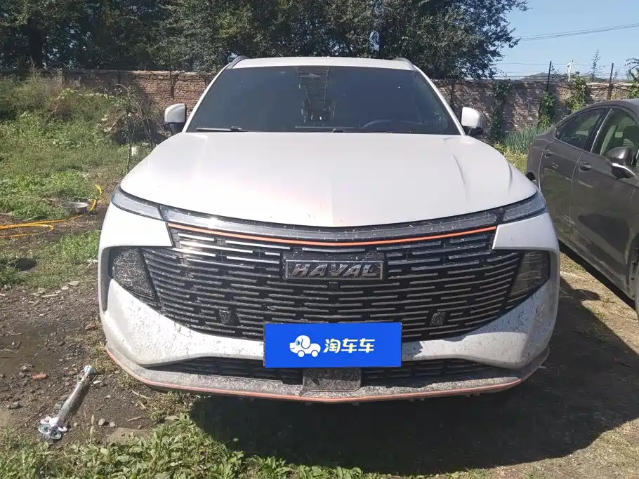 Haval Shenshou — миниатюра 2