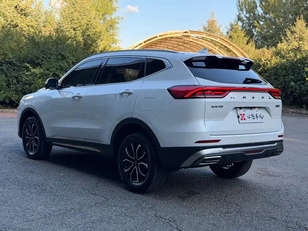 Haval H6 — миниатюра 6