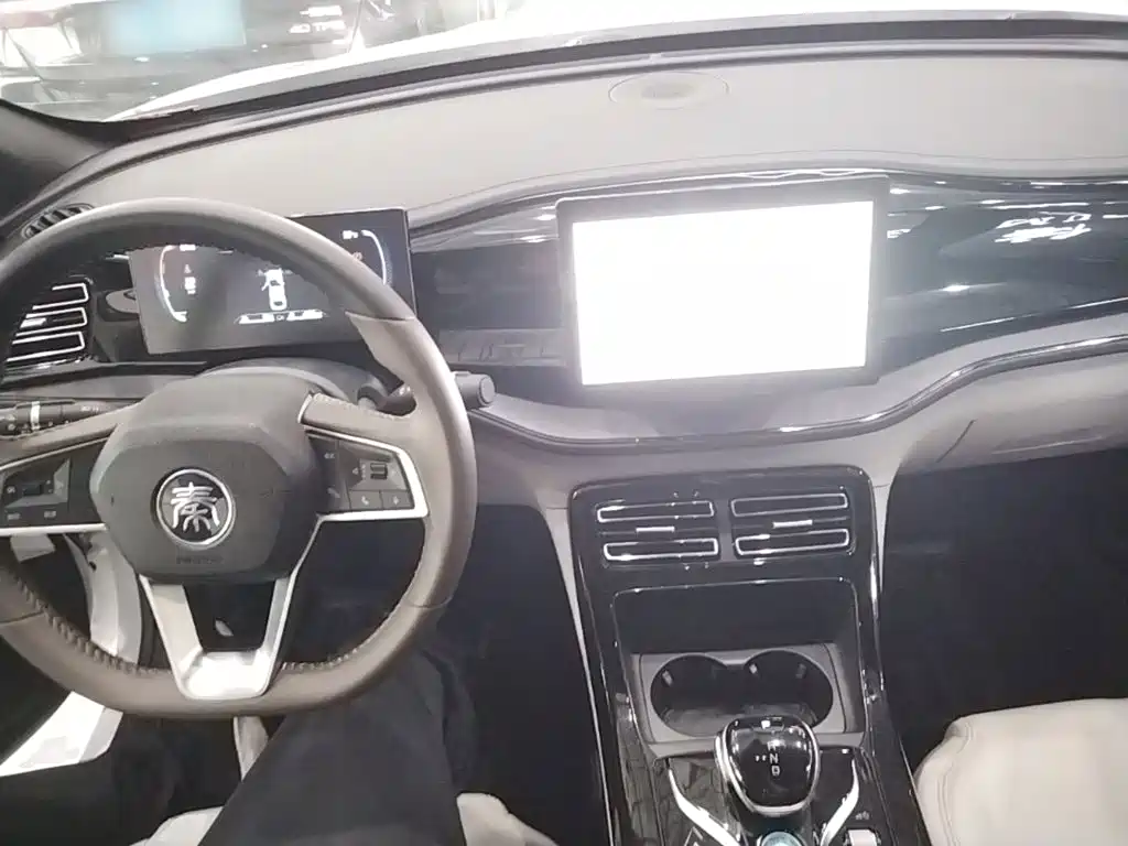 BYD Qin Plus PLUS 2024 DM-i 55KM Lead